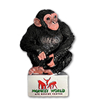 M/W CHIMP MAGNET